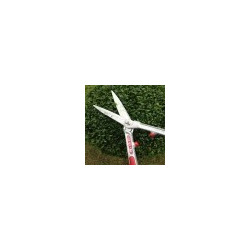 CISAILLE A HAIE ARS KR1000 65Cm
