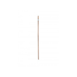 Manche Frêne
