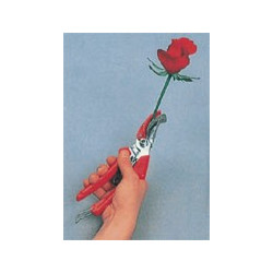 Cueille-fleurs ARS