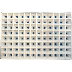 Plaque de semis 96 ALV (600x400m) lot de 2