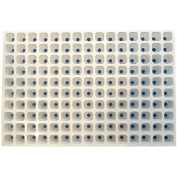 PLAQUE DE SEMIS 150 ALV (600x400mm) lot de 2