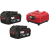 Kit chargeur simple standard + 2 batterie 4.0Ah SKIL PWR CORE 20
